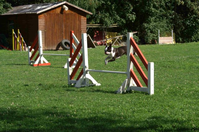 agility 2011-08